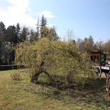 Villa Le Veymont à Saint-Martin-en-Vercors Extérieur photo
