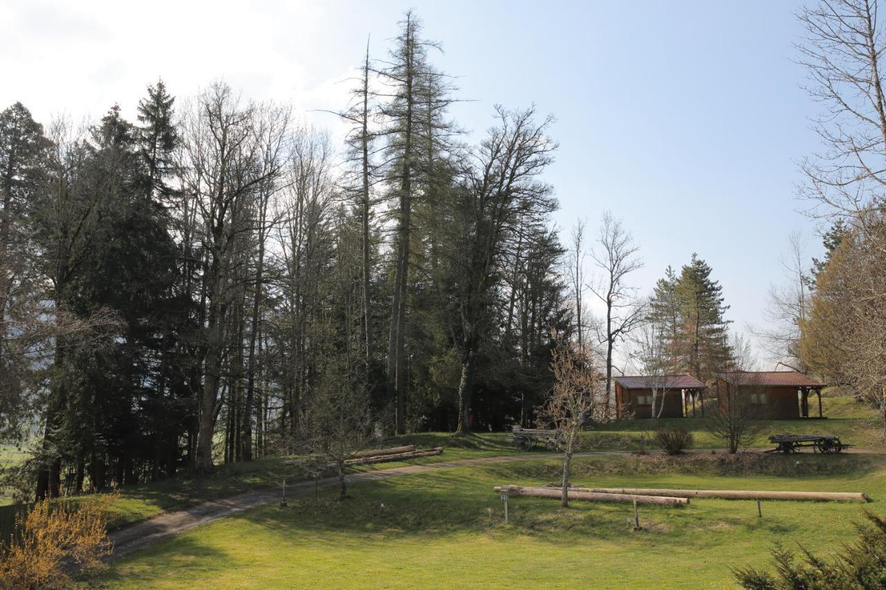Villa Le Veymont à Saint-Martin-en-Vercors Extérieur photo
